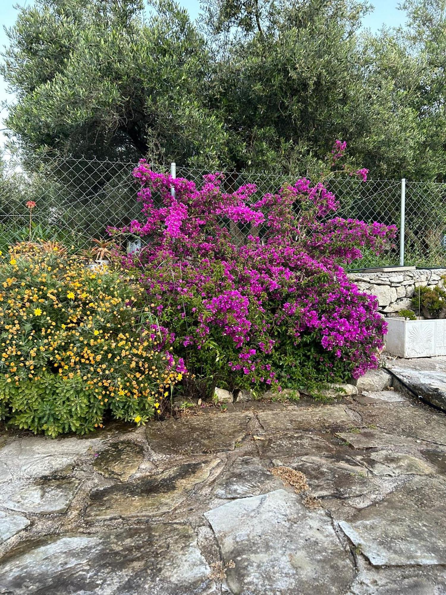 Old Stone Villa In Apokoronas Villa Nostalgia Kreta Filippos ภายนอก รูปภาพ